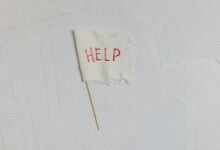 business help contact number