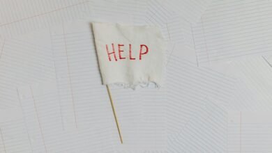 business help contact number