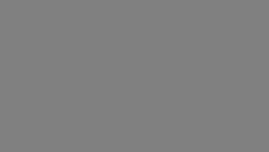 customer support phone number