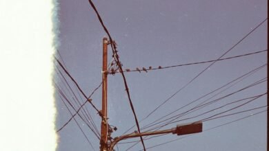 support line contact number