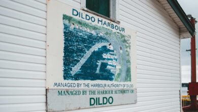 high edge authority mapping