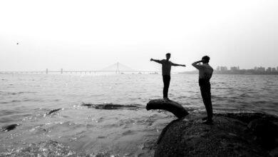 horizon link market synergy