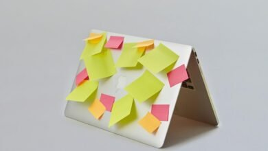 online registry notes linked to listaspsm and alerts records