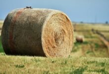 zenith node 756100441 expansion loop