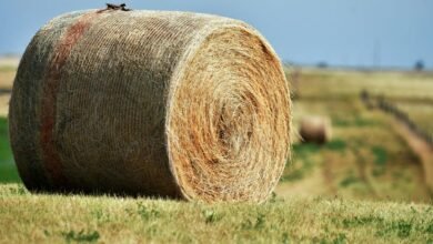 zenith node 756100441 expansion loop