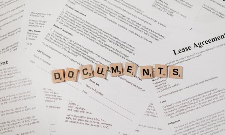 digital content behavior classification identifiers