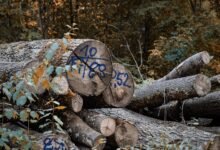 web content structure evaluation log